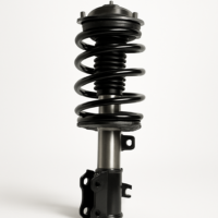 ProTech Heavy-Duty Front Strut Assembly