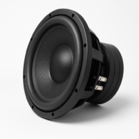 ThunderBass Xtreme 12" Car Subwoofer
